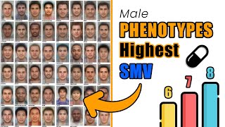 Phenotypes With The Highest SMV  Guide  blackpill [upl. by Eiramoj]