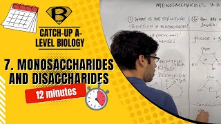 Monosaccharides and disaccharides [upl. by Werby]