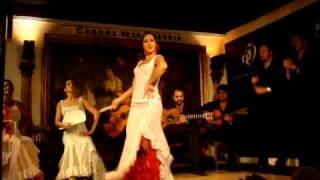 Flamenco in Madrid Spain [upl. by Domenech]