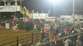 Jim Smith rodeo bull riding part 13 of 18  51124 [upl. by Emelina]