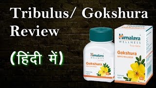 Gokshura गोक्षुर as a test booster  Tribulus Terristris Supplement Review  Hindi [upl. by Demodena521]