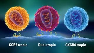 Resistance HIV amp AIDS  CCR5 amp CXCR4 Eng CCR5delta32  CCR5 tropic Dual tropic CXCR4 tropic [upl. by Lebasy]