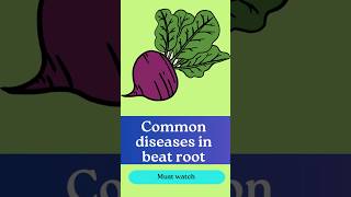 Common diseases in beet root [upl. by Morris]