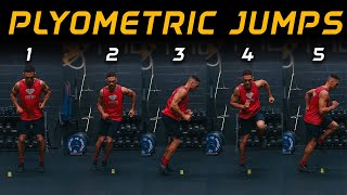 5 Plyometric Jump Exercises For Beginners  No equipment needed [upl. by Dickman578]