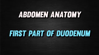 DUODENUM  FIRST PART OF DUODENUM  ABDOMEN ANATOMY  BDC  ftxenos [upl. by Mcnamee197]