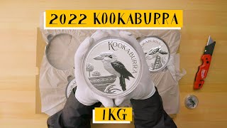 1KG KOOKABURRA [upl. by Ahtram682]