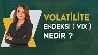 VOLATİLİTE ENDEKSİ  VIX  NEDİR [upl. by Einiffit]