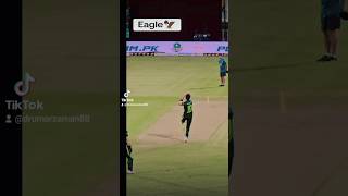 Eagle 🦅Shaheen Afrdi shaheenafridi cricket pakistan india worldcup t20worldcup babarazam [upl. by Verdha846]