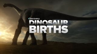 How Dinosaurs Are Born [upl. by Rednas870]