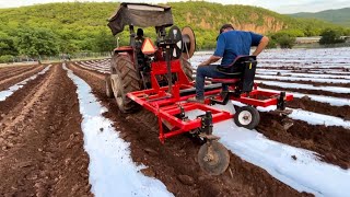 COMO INSTALAMOS EL ACOLCHADO AGRÍCOLA  AgroSin [upl. by Primavera]