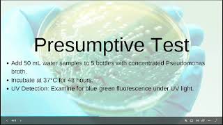 Bacteriological Analysis of Water for Detection of Pseudomonas aeruginosa [upl. by Ras]