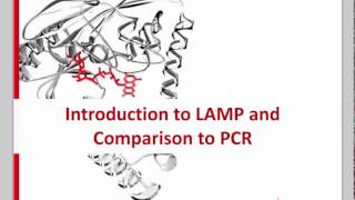 LoopMediated Isothermal Amplification LAMP Assay Development Challenges and Solutions [upl. by Ollie]