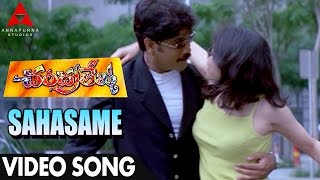 Sahasame Chey Video Song  Chandralekha Movie Video Songs  Nagarjuna Ramya Krishnan Isha Koppikar [upl. by Sutherlan249]