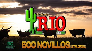 Conjunto Rio Grande500 Novillos Letra Oficial [upl. by Zantos]