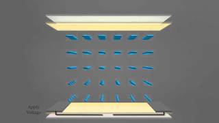 Inplane Switching Liquid Crystal Display IPS LCD [upl. by Devona]