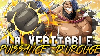 La VÉRITABLE PUISSANCE dUROUGE  ONE PIECE [upl. by Eniger862]