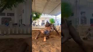 Akhada workout pehalwan kushti wrestler kushtidangal [upl. by Karoly]