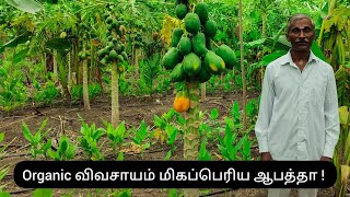 Organic விவசாயம் மிகப்பெரிய ஆபத்தா   PV Naturals [upl. by Lait]