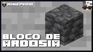 Tudo sobre o bloco de Ardósia e Pedregulho de Ardósia  Minepédia Curiosidades do Minecraft [upl. by Maiah]