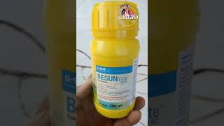 bakterisida dari BASF  obat hawar daun untuk semua tanaman [upl. by Kunkle]