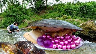 😱🎁Pry open the giant clam filled with countless enchanting purple pearls its incredibly beautiful [upl. by Bautram]