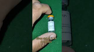 Rabies Vaccine Vero Cell How to use antirabies vaccine [upl. by Cibis743]