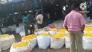 13 nov 2024 flower market prices  chickballallapur flower market today price apmc flower [upl. by Aronos]