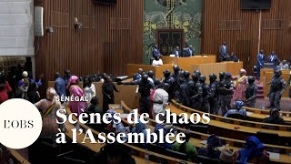 Sénégal  les députés dopposition évacués au moment du vote du report de la présidentielle [upl. by Anaytat]