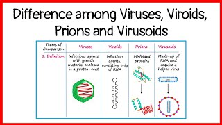 Difference among viruses viroids prions and virusoids  basicappliedmicrobiology [upl. by Tatiana]