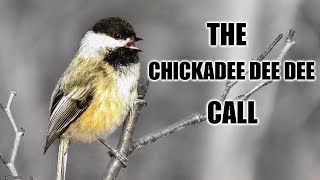 Chickadeedeedee Call [upl. by Angelina519]