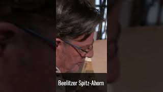 Beelitzer SpitzAhorn  Eine ProfiGitarre vom Guitar Doc shorts guitar building diy [upl. by Winther]