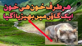 msherkhanvlog VeLLaMunDa5 ایک گاؤں میں بھیڑ یا آ گیا ہر طرف خون ہی خون [upl. by Maletta]