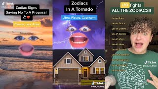 That vs Them Zodiac Signs  Dailey TikTok Zodiac Signs Series [upl. by Wershba68]