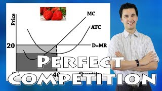 Perfect Competition Microeconomics [upl. by Maer]