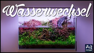 Wasserwechsel im Aquarium einfach erklärt  AquaOwner [upl. by Ak]