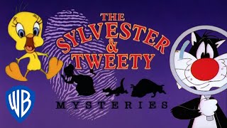 Looney Tunes SINGALONG  The Sylvester amp Tweety Mysteries Theme Song  WB Kids [upl. by Renita190]