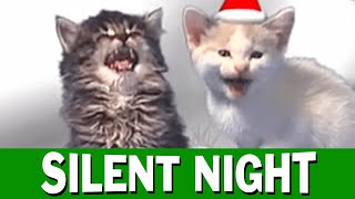 Jingle Cats Silent Night [upl. by Naji]