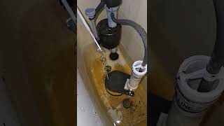 Toilet leak fix no parts needed plumbing plumber diy construction homerepair [upl. by Jeaz]