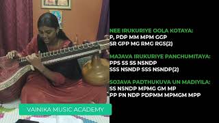 Water Packet Song Veena Tutorials  Rayaan  AR Rahman  Swram For Water Packet Song [upl. by Nosreip]