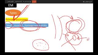 Membranous organelle Lysosomes [upl. by Adnaloj]