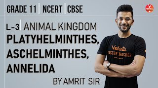 Aschelminthes Annelida  Animal Kingdom CBSE Class 11 Biology Chapter 4NCERT BiologyNEET Biology [upl. by Hildagarde]