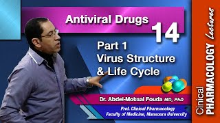 Antiviral Chemotherapy  Part 1 virus structure and life cycle [upl. by Joon]