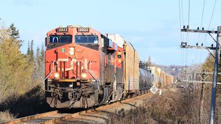 Happy Halloween Monster CN L508 Passes Milford [upl. by Ecinerev736]