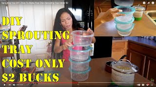 Sprouting Tray DIY  How To Make Your Own Sprouting Tray Under 2 [upl. by Oys]