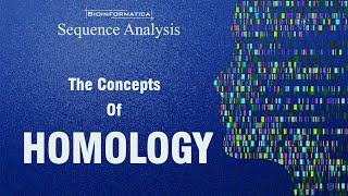 The concepts of Homology  HOMOLOGS ANALOGS ORTHOLOGS PARALOGS XENOLOGS HOMEOLOGS [upl. by Loesceke]