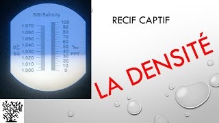 La densité de leau de mer  Mr Recif Captif 32 [upl. by Etolas]