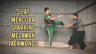 Sparring Silat VS Taekwondo Full Fight [upl. by Croom140]