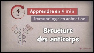 51◽ Structure des anticorps [upl. by Bilbe]