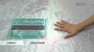 Dolphin 2in1 BackCare Mattress [upl. by Klimesh1]