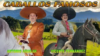 🐴 Corridos de Caballos 🐴 Vicente Fernández vs Antonio Aguilar 🐴 Mix Puros Corridos de Caballos [upl. by Ridgley]